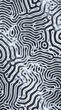 Gray-Scott reaction diffusion Turing pattern growing and pulsing organic maze abstract background seamless loop in deep charcoal tones vertical 9:16