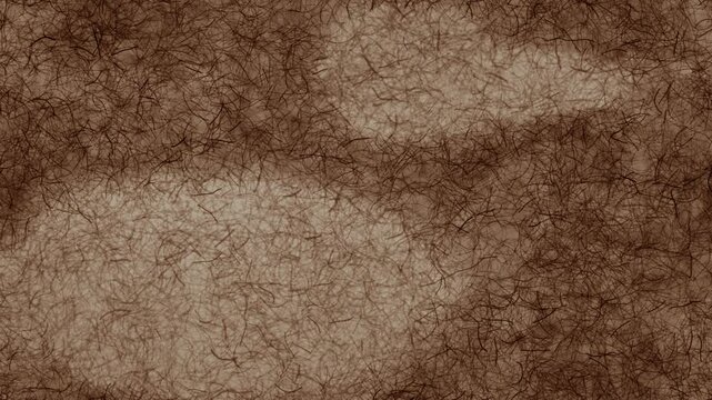 Backlit Handmade Washi Paper Fiber Texture Breathing With Calm Copy Space, Seamless Loop in vibrant persimmon tones