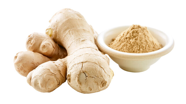 Isolated fresh ginger roots and bowl of aromatic ginger powder, healthy cooking ingredient.