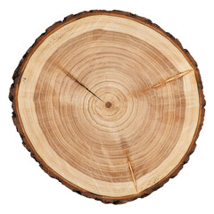 Fototapeta premium Top View of a Circular Wooden Tree Stump with Detailed Growth Rings and Dark Bark Isolated on Transparent Background