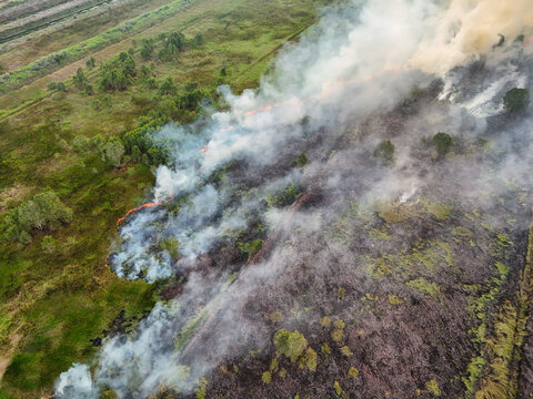 Aerial view of a forest fire burning through peatland with thick smoke plumes rising over the landscape in Banjarbaru, South Kalimantan, Indonesia.