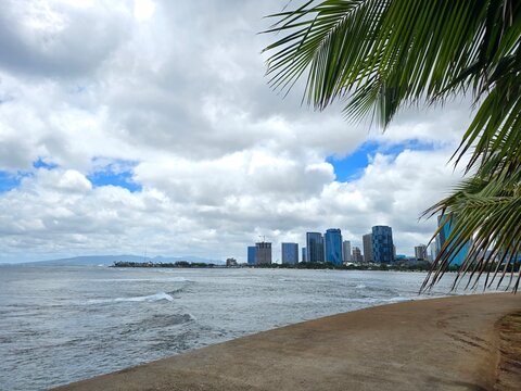 Palm leaves framing oceanfront walkway and Honolulu city skyline at Ala Moana Beach Park, Magic Island, Oahu, Hawaii
