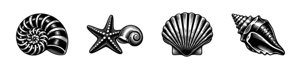 Vintage Engraved Sea Shell Collection © UnIcons