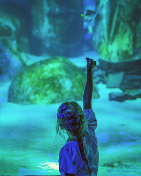 Young Girl Pointing at Fish Inside a Blue-Lit Aquarium