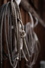 rope  © Riley