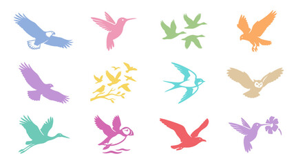 Obraz premium Vibrant bird species silhouettes in various poses.