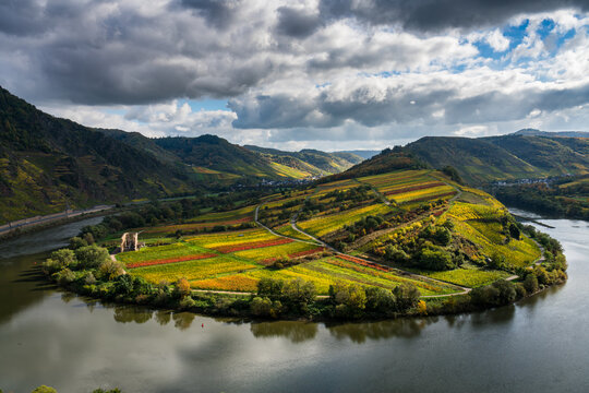 The Moselle loop near a beautiful Bremm village with Stuben Monastery ruins and surrounding vineyards in autumn season. Germany