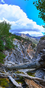 Panorama Rugged Canyon Fallen Log and Pine Trees with Dramatic Clouds Nevada