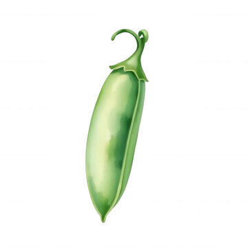 Fresh green pea pod isolated on black background