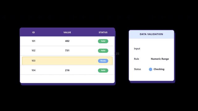Data validation animation showing an invalid spreadsheet value corrected from 999 to 125, revalidated successfully and returned to the dataset for accurate digital data management.