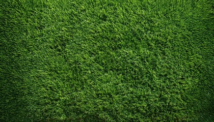 Fototapeta premium seamless pattern of astro turf grass texture from a top view suitable for sports themed backgrounds