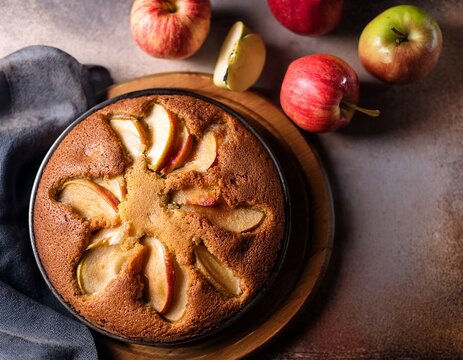 rustic moist apple cake with fluffy texture and copyspace for text