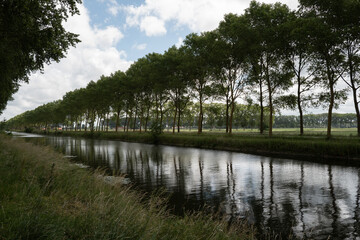 Obraz premium Canal lined with trees in Bruges, Belgium