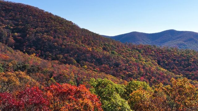 Colorful forest sunset landscape of Appalachian mountain hills in fall season. Yellow and orange canopies create vibrant autumn scenery.