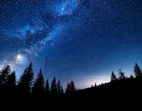 stunning night sky featuring glowing stars above a dark forest silhouetted during a calm evening