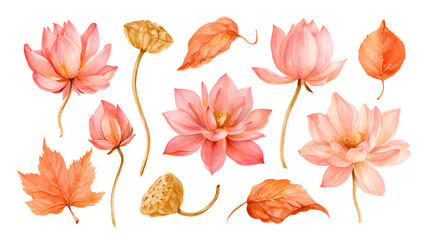 Fototapeta premium Watercolor painting of delicate pink lotus flowers and autumn leaves on black background