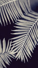 Obraz premium Monochrome palm leaves on dark background, perfect for mobile wallpaper.