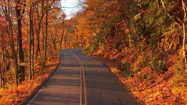 Empty mountain road surrounded by vivid fall foliage. Tranquil forest landscape perfect for seasonal travel.