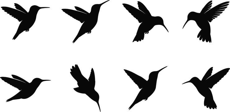 Hummingbird silhouettes in flying and hovering vector positions