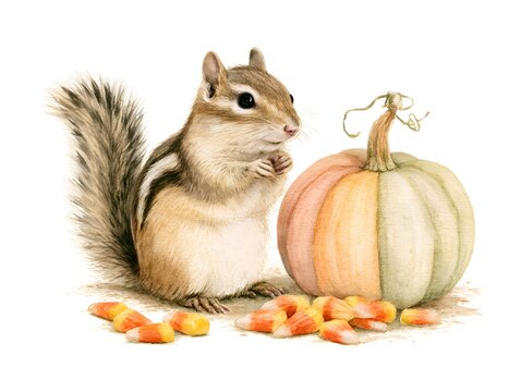 Cute chipmunk with a small pumpkin and candy corn in a watercolor illustration style
