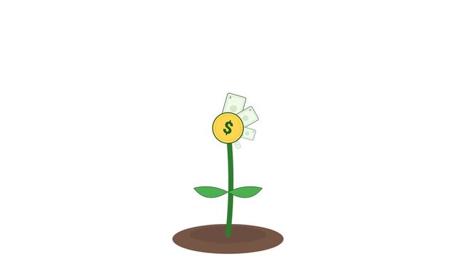 Sprite Sheet Animation Sequence of Money Plant Growth from Seedling to Bloom