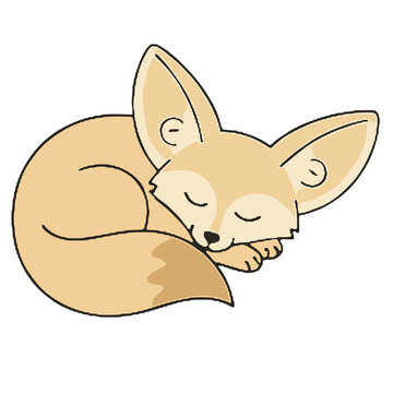 Cute sleeping fennec fox cartoon character illustration