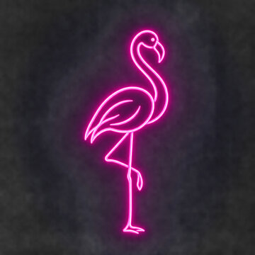 Bird Flamingo 