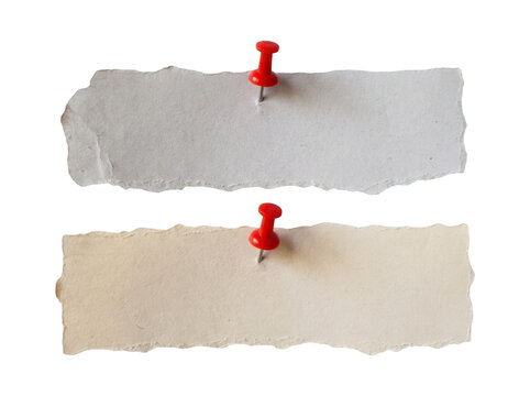 Two torn paper strips pinned with red push pins on transparent background