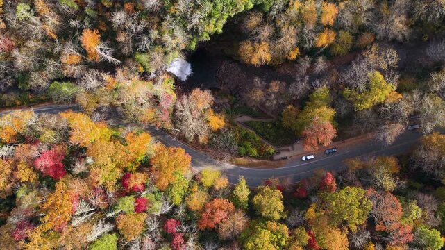 Looking Glass Falls in North Carolina featuring scenic viewing platform, forest staircase and brilliant autumn foliage surrounding waterfall. Roadside travel destination in Appalachian mountains.