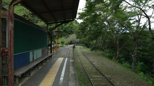 train on the railway