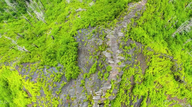 Nature landscape of Tennessee with Chimney Tops peaks in Appalachian mountains. Mountain forest with green canopies in summer season.
