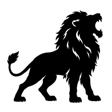 lion vector illustration