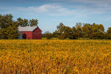 red barn in the field © Richard