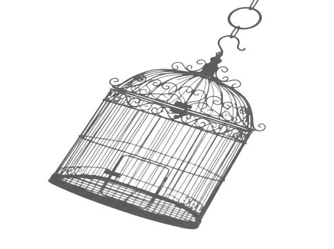 Empty ornate birdcage with intricate metalwork and hanging hook against plain background.