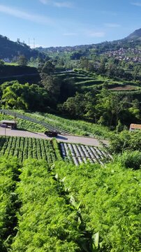 Morning vibes ini Boyolali with view merapi mountain