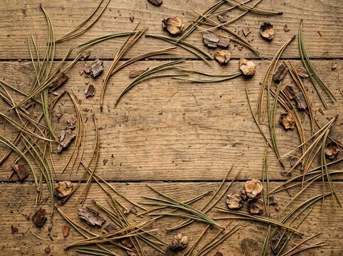 Rustic pine needle frame on wooden background, natural forest flat lay frame with copy space, autumn botanical wood texture border
