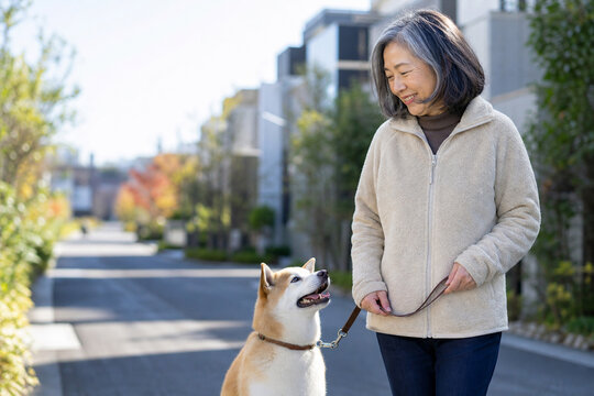 犬と一緒に散歩する高齢女性