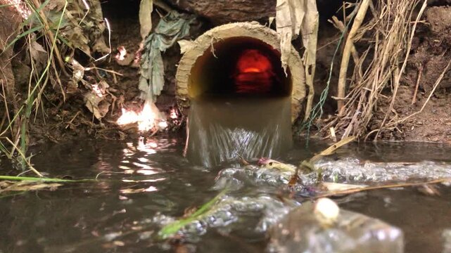 Wastewater or agricultural runoff flows from a culvert pipe directly into a small stream.