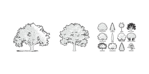 Obraz premium Set of isolated hand drawn trees for professional landscape architecture plans and elevation sketches including diverse botanical types on transparent background.