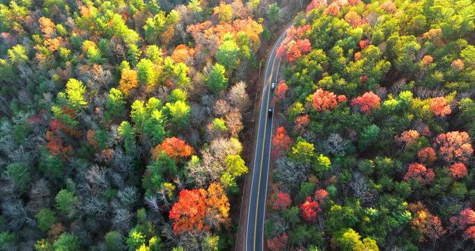 Scenic drive through Tennessee Appalachians at sunset in fall season. Car traveling on curvy forest road under vibrant autumn foliage