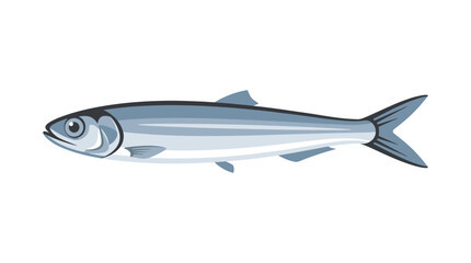Obraz premium Isolated Vector Illustration of a Small Silver Sardine Fish