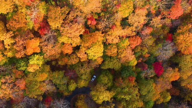 Scenic roadside parking area with parked car overlooking mountain autumn woodland. Beautiful seasonal landscape perfect for travel concepts.