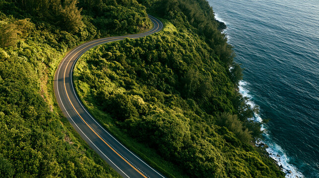 High angle view of a sinuous coastal highway illuminated by warm sunlight, winding along ocean cliffs and dense green forest.