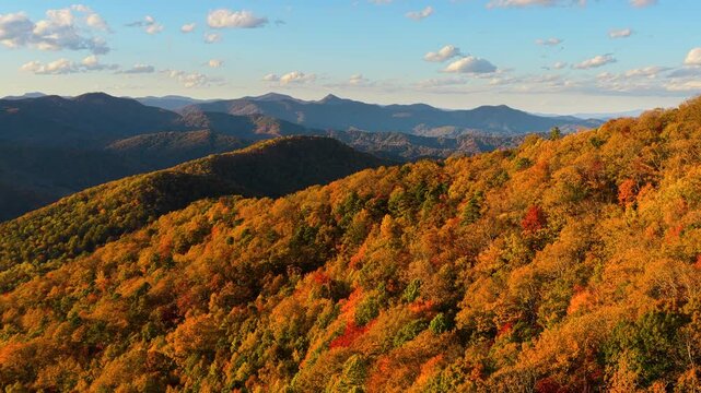 Sunset casting warm light across dense autumn woodland in highland mountains. Brilliant yellow, orange and red foliage covers rolling landscape in peak fall season.