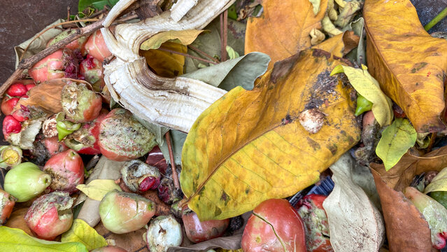 Pile of composting organic waste for composting as background, closeup