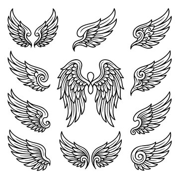 Set of Detailed Angel Wings Hand Drawn Vector Illustration