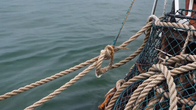 Lobster pot rope moving in a current