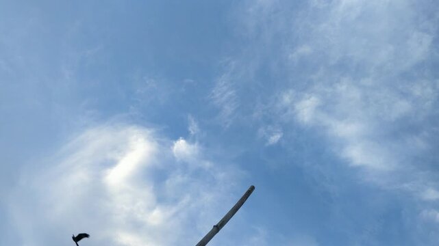 Bird flying through vast blue sky with wispy white clouds captured in this motion video footage