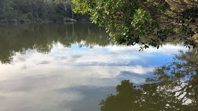 Static locked-off shot of a tranquil lake with clear blue sky and white cloud reflections on the water surface. Overhanging green tree foliage frames the upper right