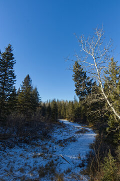 A Cold Winter Day at Whitemud Park